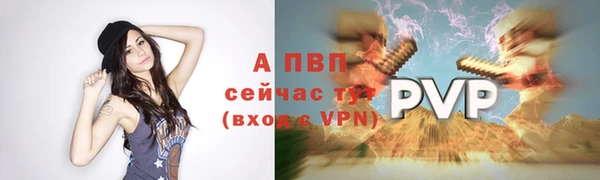 дурь Новодвинск