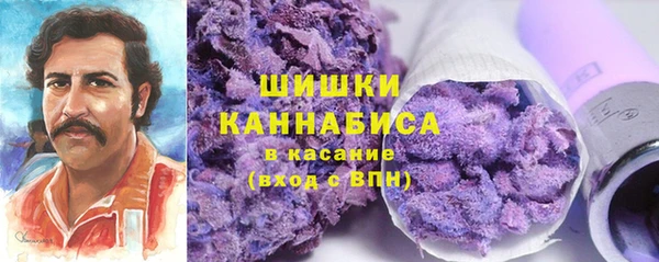 дурь Новодвинск