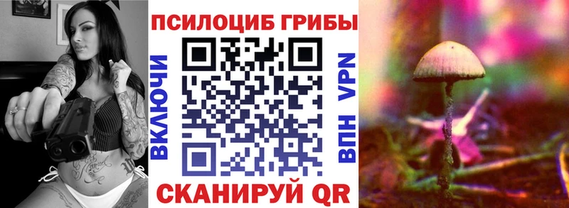 дарнет шоп  Сунжа  Псилоцибиновые грибы мицелий 