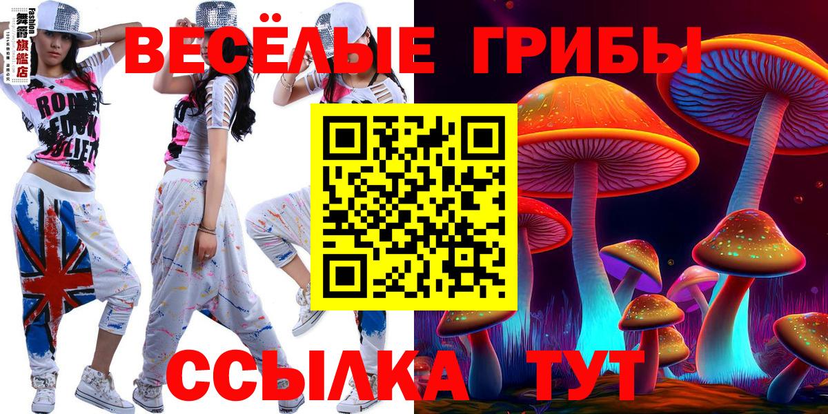 Псилоцибиновые грибы ЛСД  Псилоцибиновые грибы Cubensis  Вход с VPN  Сунжа 