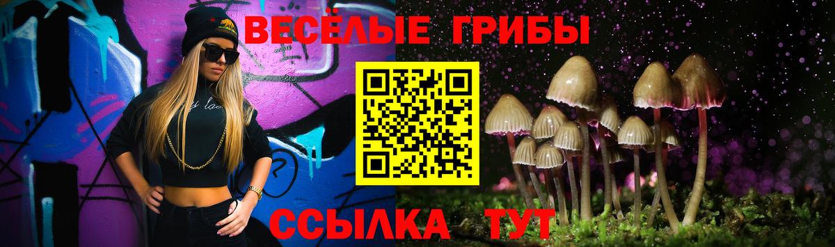 Псилоцибиновые грибы Psilocybe Сунжа